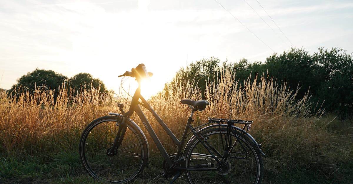 Fenders DEFINITION AND MEANING Rehook